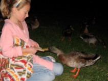 Kate feeding the ducks