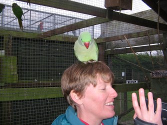 sarah with parrot